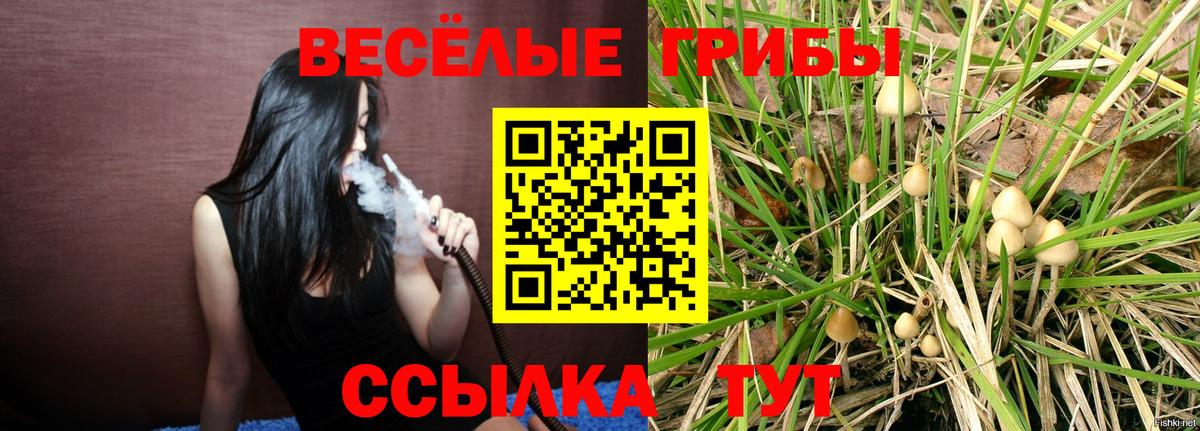 Ачинск  Псилоцибиновые грибы MAGIC MUSHROOMS  где купить наркоту  Галлюциногенные грибы Magic Shrooms  Вход с VPN 